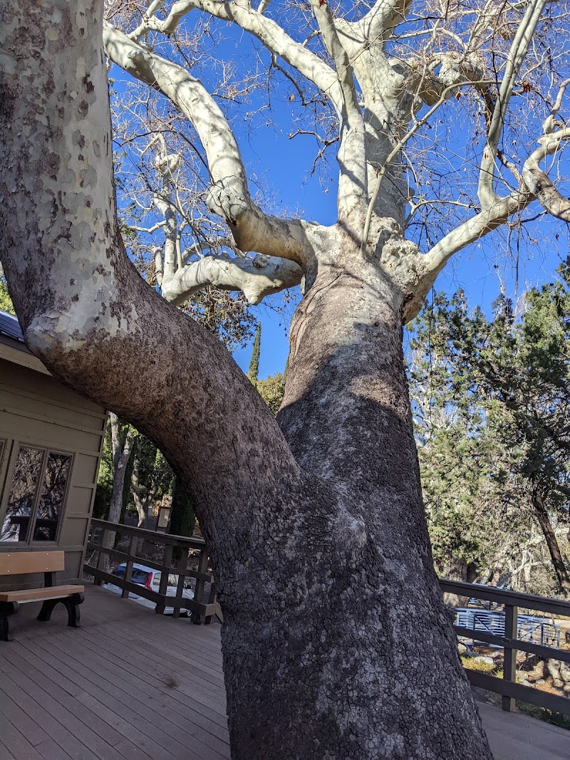 Michael Grande (Venue: Arizona Folklore Preserve)