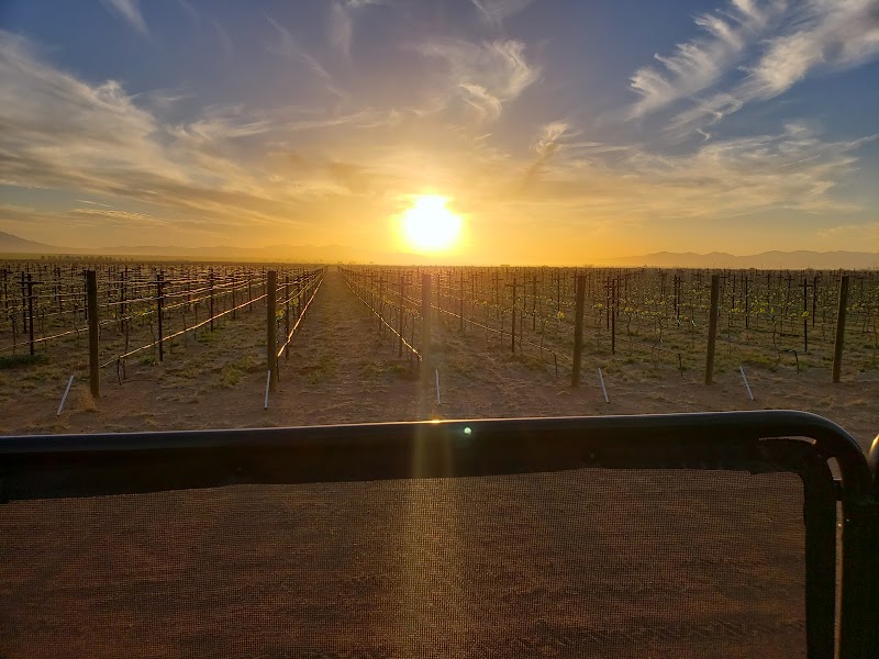 Us Too (Venue: Birds and Barrels Vineyards)