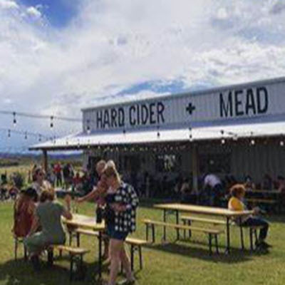 Steve Bragg (Venue: The Meading Room)